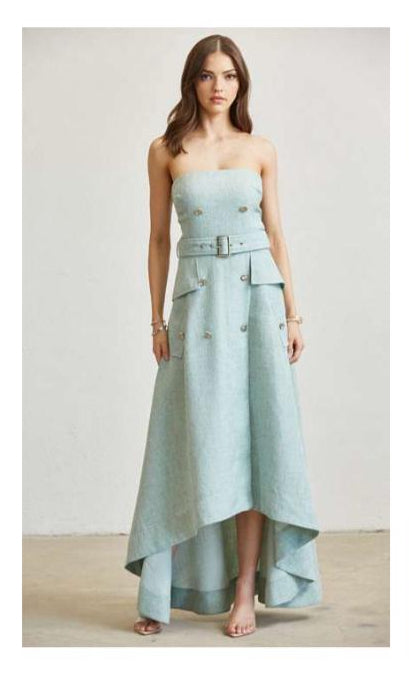 Brisey Strapless Dress