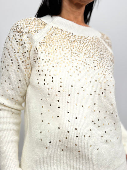 Winter Glow Sequin Sweater