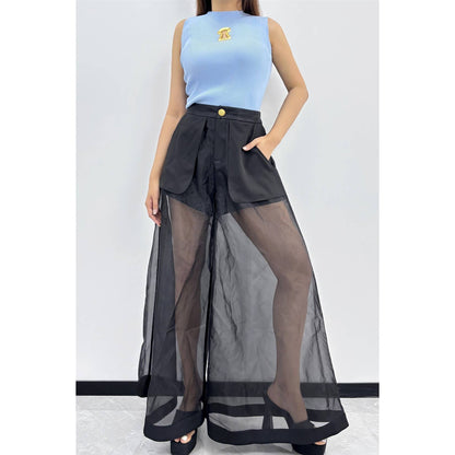 Midnight Illusion Sheer Palazzo Pants