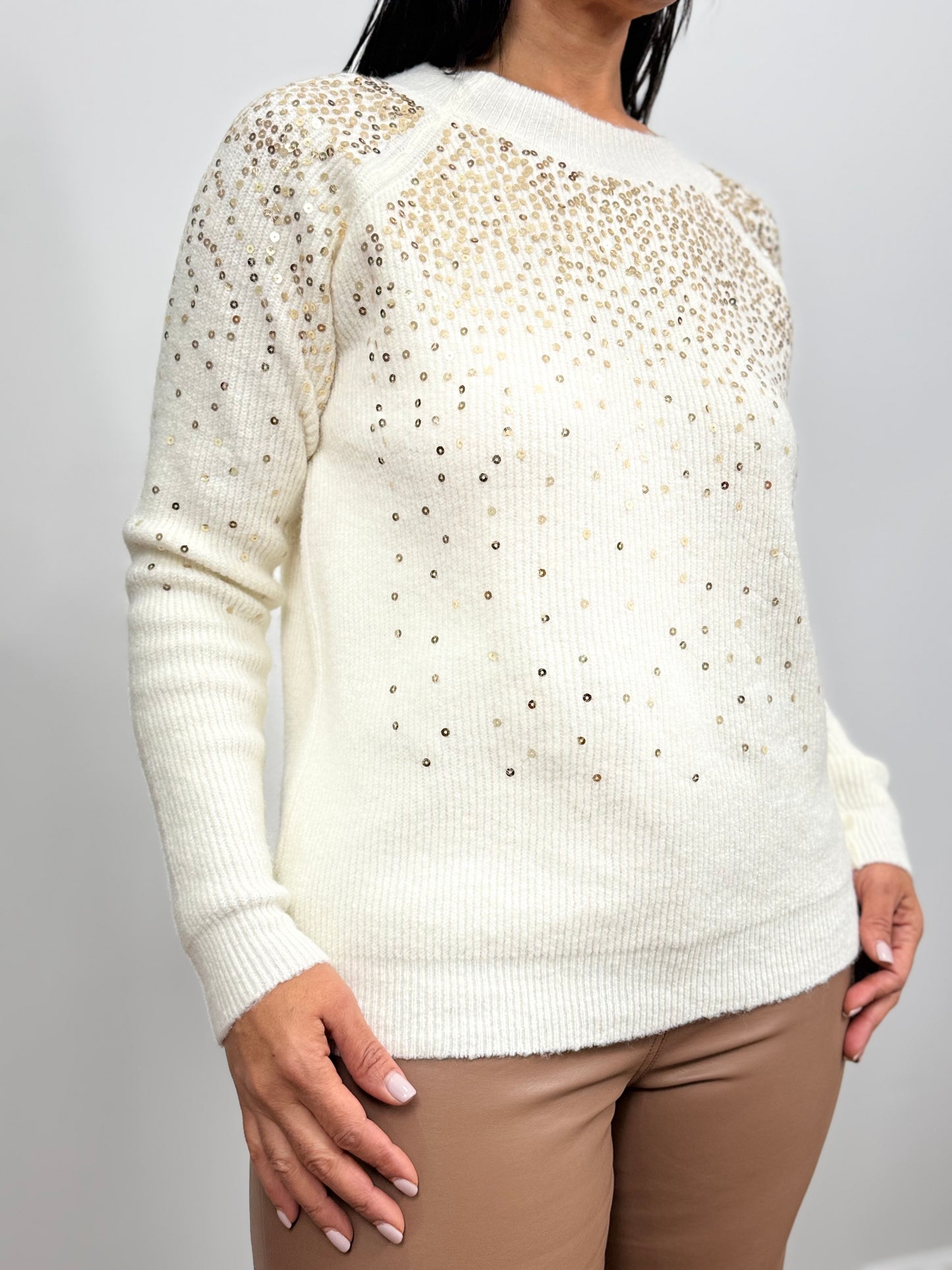 Winter Glow Sequin Sweater